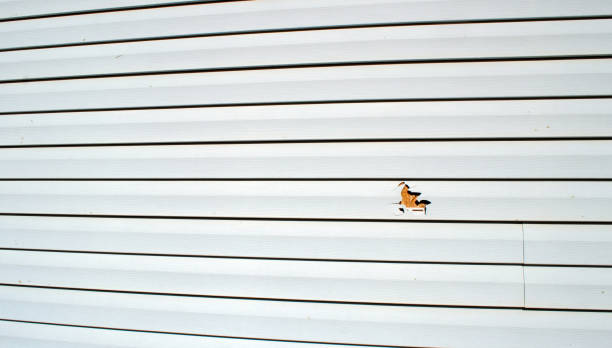 Best Siding Painting and Refinishing  in Bayboro, NC