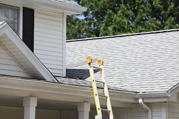 Best Custom Siding Design  in Bayboro, NC